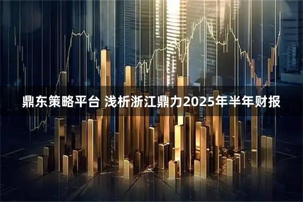 鼎东策略平台 浅析浙江鼎力2025年半年财报