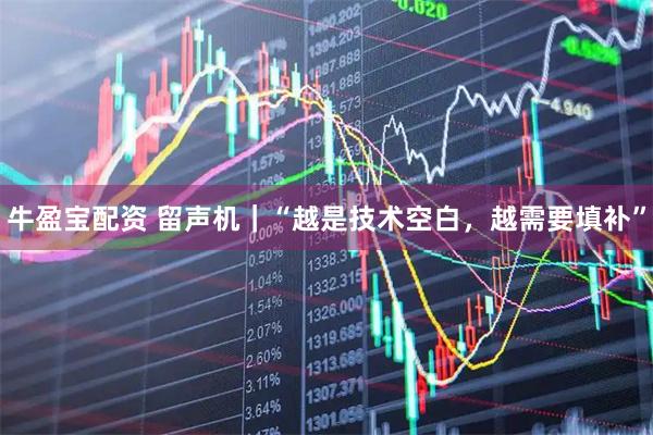 牛盈宝配资 留声机｜“越是技术空白，越需要填补”